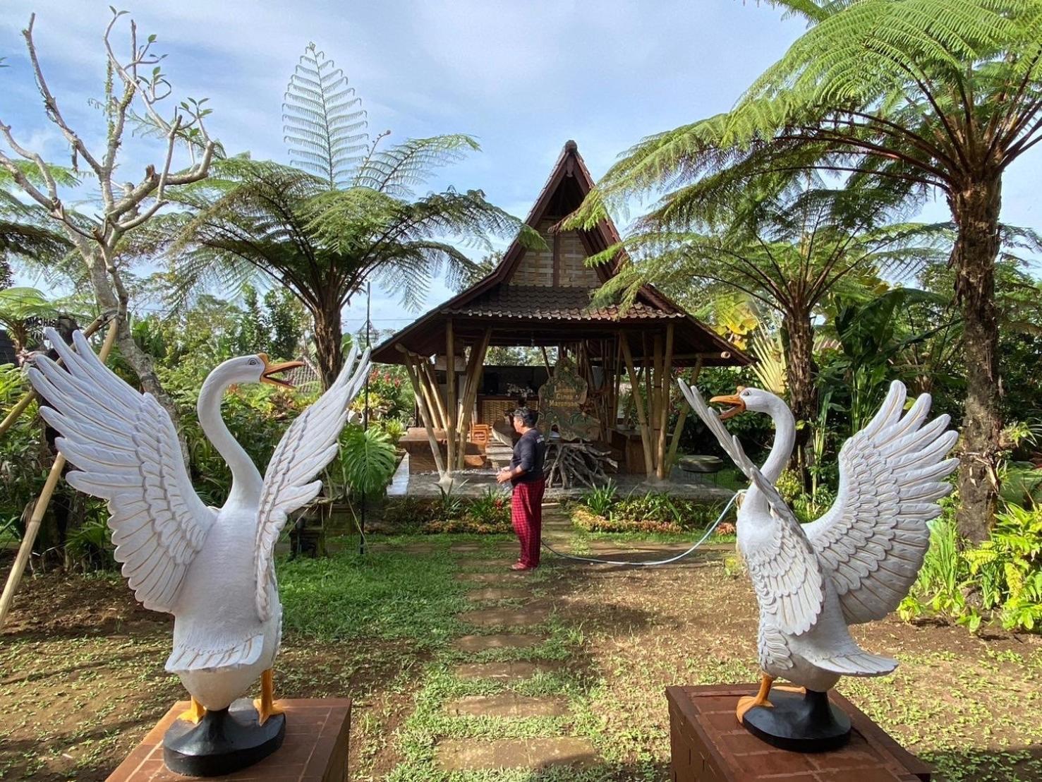 Lembah Cinta Mayungan Baturiti Ngoại thất bức ảnh