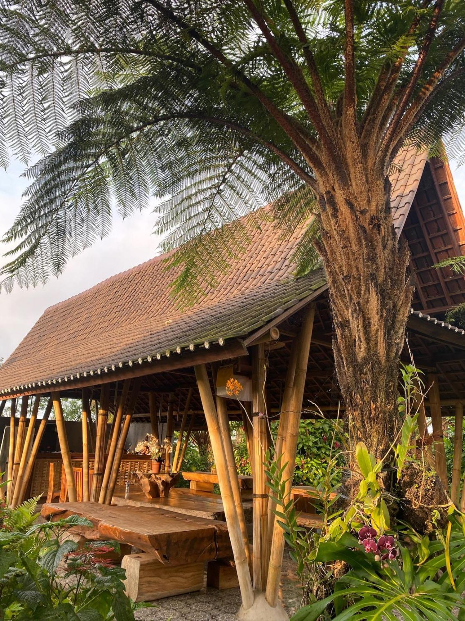 Lembah Cinta Mayungan Baturiti Ngoại thất bức ảnh