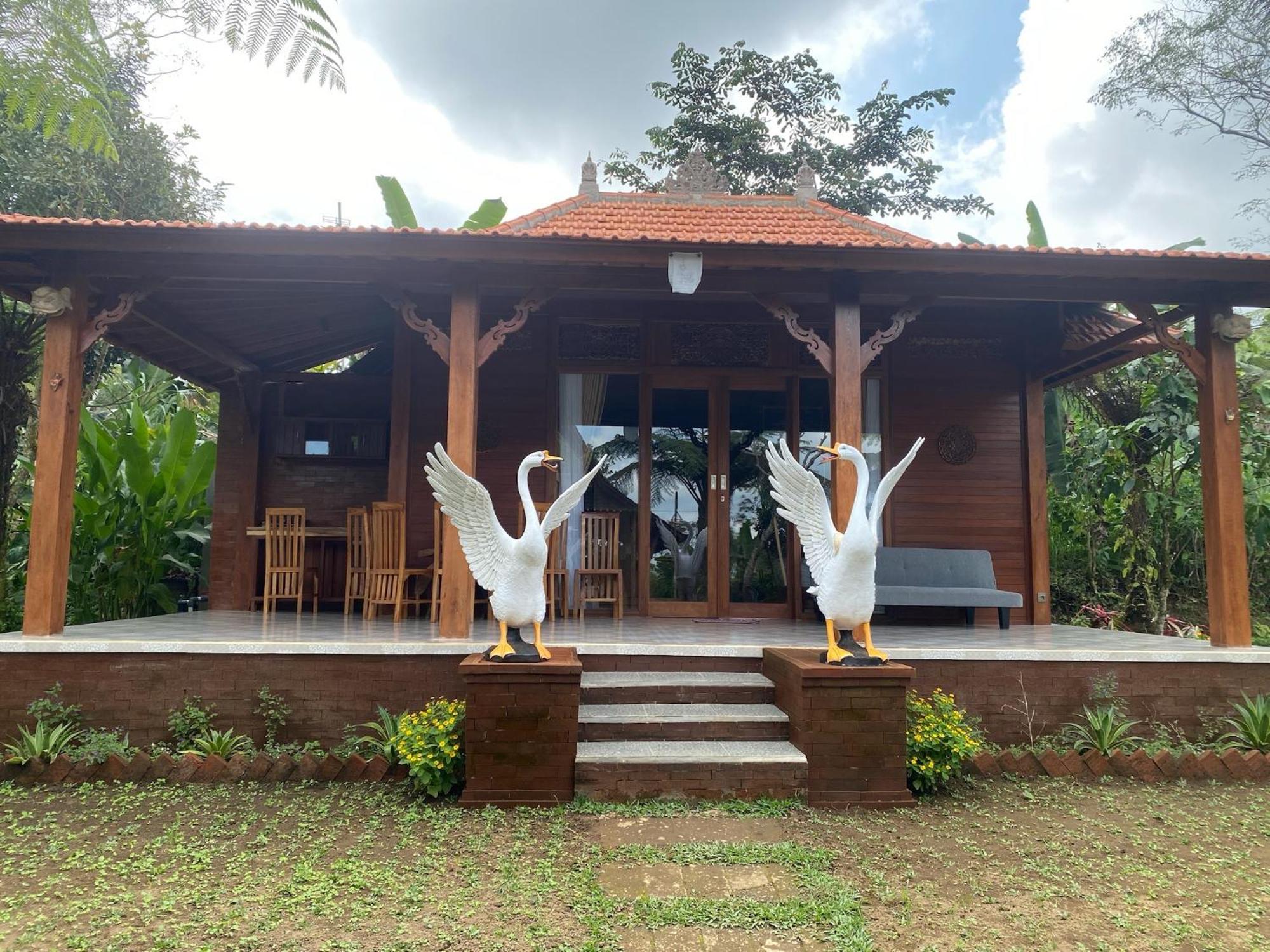 Lembah Cinta Mayungan Baturiti Ngoại thất bức ảnh